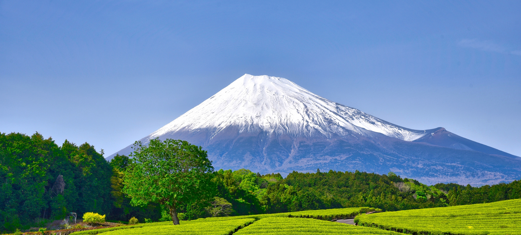 静岡県の方におすすめのトロフィーやメダルのご紹介